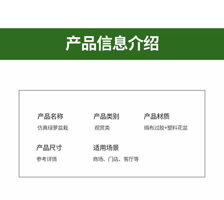 商品詳情圖片
